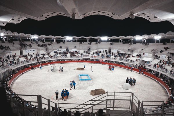 Que proposent les magasins de vélo en ligne ?